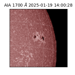 saia - 2025-01-19T14:00:28.737000