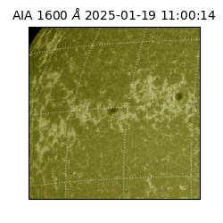 saia - 2025-01-19T11:00:14.125000