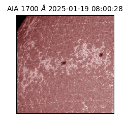 saia - 2025-01-19T08:00:28.719000