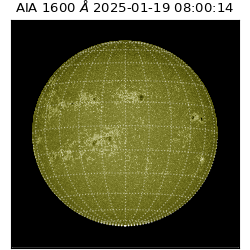 saia - 2025-01-19T08:00:14.119000