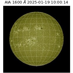 saia - 2025-01-19T10:00:14.131000