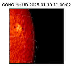gong - 2025-01-19T11:00:02