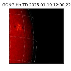 gong - 2025-01-19T12:00:22
