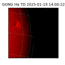 gong - 2025-01-19T14:00:22