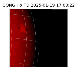 gong - 2025-01-19T17:00:22