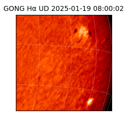 gong - 2025-01-19T08:00:02