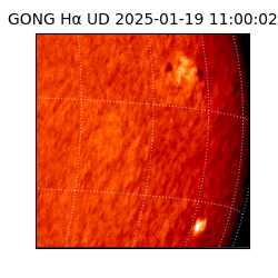 gong - 2025-01-19T11:00:02