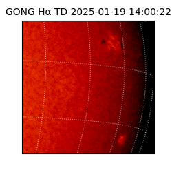 gong - 2025-01-19T14:00:22