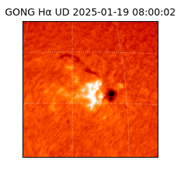gong - 2025-01-19T08:00:02