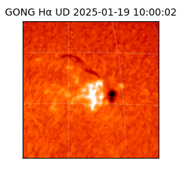 gong - 2025-01-19T10:00:02