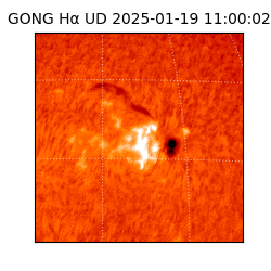 gong - 2025-01-19T11:00:02