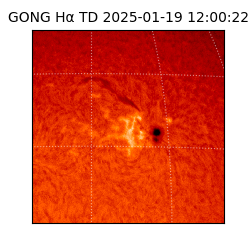 gong - 2025-01-19T12:00:22