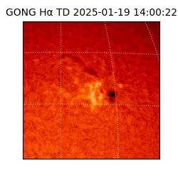 gong - 2025-01-19T14:00:22