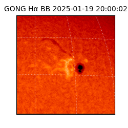 gong - 2025-01-19T20:00:02