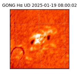 gong - 2025-01-19T08:00:02