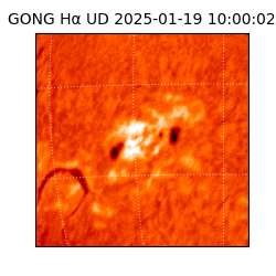 gong - 2025-01-19T10:00:02