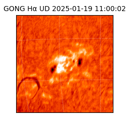 gong - 2025-01-19T11:00:02