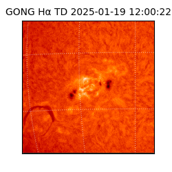 gong - 2025-01-19T12:00:22