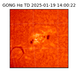 gong - 2025-01-19T14:00:22