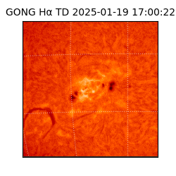 gong - 2025-01-19T17:00:22