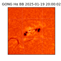 gong - 2025-01-19T20:00:02