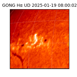gong - 2025-01-19T08:00:02