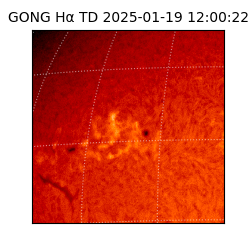gong - 2025-01-19T12:00:22