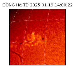 gong - 2025-01-19T14:00:22
