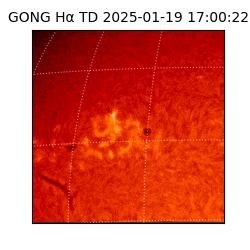 gong - 2025-01-19T17:00:22