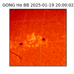 gong - 2025-01-19T20:00:02