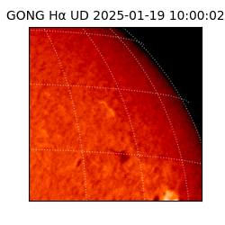 gong - 2025-01-19T10:00:02