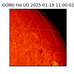 gong - 2025-01-19T11:00:02