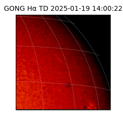 gong - 2025-01-19T14:00:22