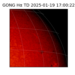 gong - 2025-01-19T17:00:22