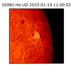 gong - 2025-01-19T11:00:02