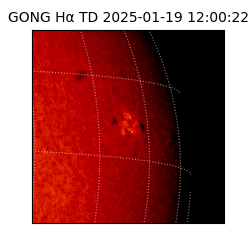 gong - 2025-01-19T12:00:22