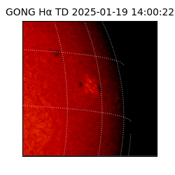 gong - 2025-01-19T14:00:22