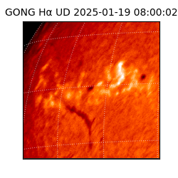 gong - 2025-01-19T08:00:02