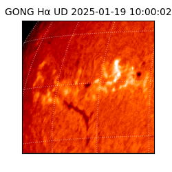gong - 2025-01-19T10:00:02