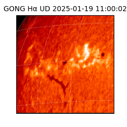 gong - 2025-01-19T11:00:02