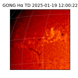gong - 2025-01-19T12:00:22