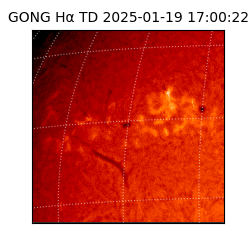 gong - 2025-01-19T17:00:22
