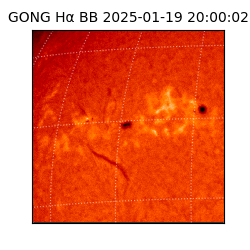 gong - 2025-01-19T20:00:02