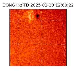 gong - 2025-01-19T12:00:22