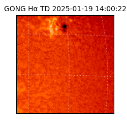 gong - 2025-01-19T14:00:22
