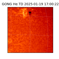 gong - 2025-01-19T17:00:22