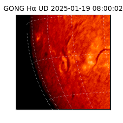 gong - 2025-01-19T08:00:02