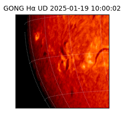 gong - 2025-01-19T10:00:02