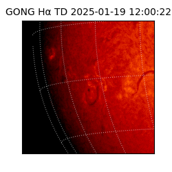 gong - 2025-01-19T12:00:22