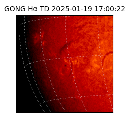 gong - 2025-01-19T17:00:22